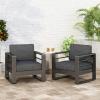 Cheney Bay Outdoor Aluminum Club Chairs (Set of 2), Black(Black)
