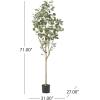 Christopher Knight Home Artificial Plants, 6 ft x 2.5 ft, Green + Black(Green)