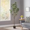 Christopher Knight Home Artificial Plants, 6 ft x 2.5 ft, Green + Black(Green)