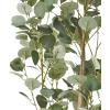Christopher Knight Home Artificial Plants, 6 ft x 2.5 ft, Green + Black(Green)