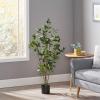 Christopher Knight Home Atoka 4′ x 1.5′ Artificial Laurel Tree, Green