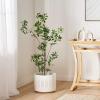 Christopher Knight Home Bergweg 4′ x 1.5′ Artificial Pieris Tree – Green