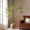 Christopher Knight Home Bergweg 7′ x 3′ Artificial Pieris Tree – Green