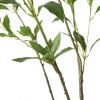 Christopher Knight Home Bergweg 7′ x 3′ Artificial Pieris Tree – Green