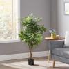 Christopher Knight Home Harney 4′ x 2′ Artificial Ficus Tree, Green(5ft)