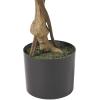 Christopher Knight Home Harney 4′ x 2′ Artificial Ficus Tree, Green(5ft)