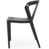Christopher Knight Home Ianthe Outdoor Dining Chair (Set of 2), Black
