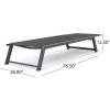Christopher Knight Home Myers Outdoor Mesh Chaise Lounges with Aluminum Frame, 2-Pcs Set, Black Mesh / Grey
