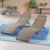 Christopher Knight Home Tycie Outdoor Acacia Wood Foldable Chaise Lounge (Set of 2), Gray Finish