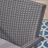 Otto Outdoor Wicker Club Chair, Gray and Silver(Set of 2)