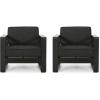 Cheney Bay Outdoor Aluminum Club Chairs (Set of 2), Black(Black)
