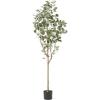 Christopher Knight Home Artificial Plants, 6 ft x 2.5 ft, Green + Black(Green)