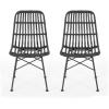 Christopher Knight Home Assisi Indoor Wicker Dining Chairs (Set of 2), Gray and Black(Gray and Black)