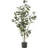 Christopher Knight Home Atoka 4′ x 1.5′ Artificial Laurel Tree, Green
