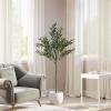 Christopher Knight Home Luke 63”H Pre-Potted Artificial Tree Indoor, Artificial Ficus with Nursery Pot, Faux Tree with Natural Wood Trunk for Home Office Decor, 1pcs with Black Plastic Pot, Green(Green/66”h)