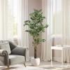 Christopher Knight Home Luke 63”H Pre-Potted Artificial Tree Indoor, Artificial Ficus with Nursery Pot, Faux Tree with Natural Wood Trunk for Home Office Decor, 1pcs with Black Plastic Pot, Green(Green/69”h)