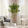 Christopher Knight Home Luke 63”H Pre-Potted Artificial Tree Indoor, Artificial Ficus with Nursery Pot, Faux Tree with Natural Wood Trunk for Home Office Decor, 1pcs with Black Plastic Pot, Green(Green/70”h)