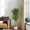 Christopher Knight Home Luke 63”H Pre-Potted Artificial Tree Indoor, Artificial Ficus with Nursery Pot, Faux Tree with Natural Wood Trunk for Home Office Decor, 1pcs with Black Plastic Pot, Green(Green/63”h)