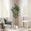 Christopher Knight Home Luke 63”H Pre-Potted Artificial Tree Indoor, Artificial Ficus with Nursery Pot, Faux Tree with Natural Wood Trunk for Home Office Decor, 1pcs with Black Plastic Pot, Green(Green/71”h)