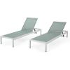 Christopher Knight Home Vanessa Coral Outdoor Chaise Lounges (Set of 2), Green and White