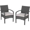Otto Outdoor Wicker Club Chair, Gray and Silver(Set of 2)
