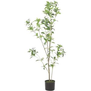 Christopher Knight Home Bergweg 4′ x 1.5′ Artificial Pieris Tree – Green