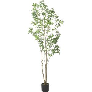 Christopher Knight Home Bergweg 7′ x 3′ Artificial Pieris Tree – Green