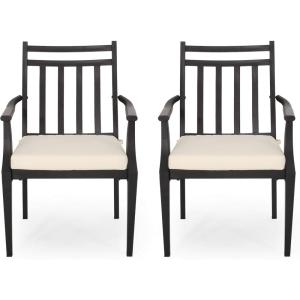 Christopher Knight Home Faithe Outdoor Dining Chair (Set of 2), Matte Black, Light Teal(Matte Black  Beige)