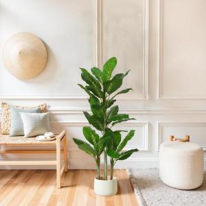 Christopher Knight Home Luke 63”H Pre-Potted Artificial Tree Indoor, Artificial Ficus with Nursery Pot, Faux Tree with Natural Wood Trunk for Home Office Decor, 1pcs with Black Plastic Pot, Green(Green/42”h)