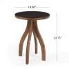 Christopher Knight Home Antonia Mango Wood End Table, Brown