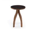 Christopher Knight Home Antonia Mango Wood End Table, Brown