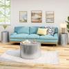 Christopher Knight Home Braeburn Modern Round 3 Piece Iron Accent and Coffee Table Set, Silver