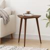Christopher Knight Home Naja Wood End Table, Walnut(Walnut)
