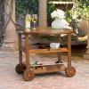 Christopher Knight Home Tillary Tiller Outdoor Acacia Wood Bar Cart Aluminum Accents, Dark Oak/Shiny Powder Coating(Accents)