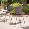 Christopher Knight Home Torrey Outdoor Wicker Barstools with Iron Frame, 2-Pcs Set, Multibrown / Black Copper