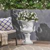 Christopher Knight Home Adonis Traditional Roman Chalice Garden Urn Planter with Lion and Floral Accents, Antique White