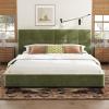Christopher Knight Home Cordo King Size Bed, Velvet Upholstered Platform Bed, Wooden Slats Panel Support, Tufted Square Corners Haedboard, No Box Spring Needed, Easy Assembly, Oliver Green(Oliver Green)