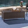 Christopher Knight Home Rupert Outdoor Wicker Storage Unit, Multibrown