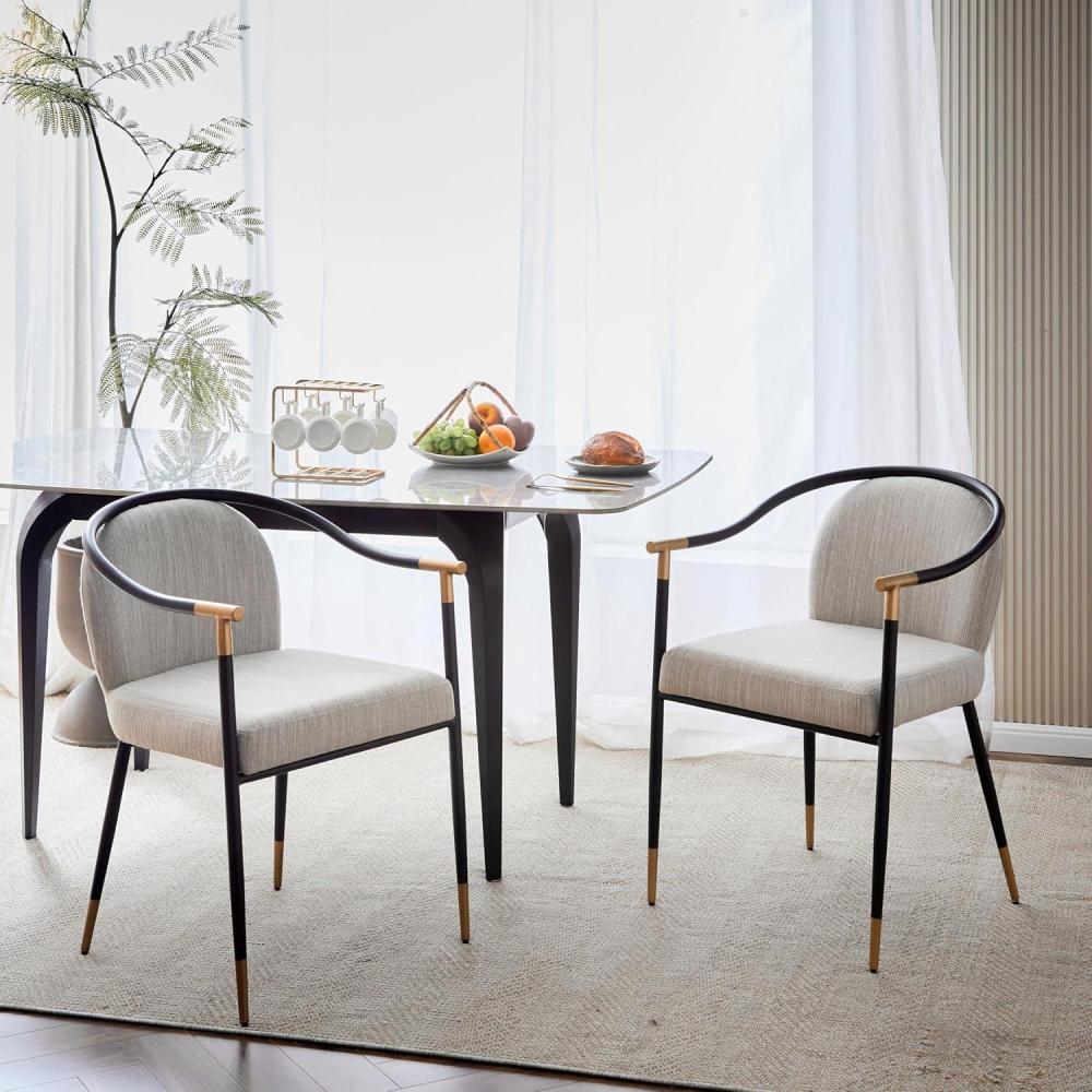 image:imageChristopher Knight Home Paula Dining Chairs Set of 2 Modern Dining Chair with Fabric Upholstery Durable Iron Frame Kitchen Chairs with Armrest Extra Seat for Dining Room Black  GreyBlack  Beige