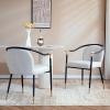 Christopher Knight Home Paula Dining Chairs Set of 2, Modern Dining Chair with Fabric Upholstery, Durable Iron Frame Kitchen Chairs with Armrest, Extra Seat for Dining Room, Black + Grey(Black + Beige)