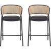 Christopher Knight Home Ethan Faux Leather Upholstered Bar Stool Set of 2, Metal Counter Stool with Rattan Curved Backrest, Mid-Century Modern Cocktail Stool for Kitchen Island, Black+Natural