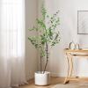 Christopher Knight Home Bowrun 6′ x 3′ Artificial Enkianthus Tree – Silk – Green