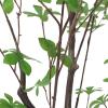Christopher Knight Home Bowrun 6′ x 3′ Artificial Enkianthus Tree – Silk – Green