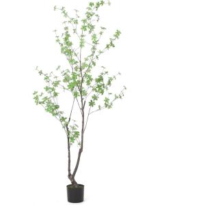 Christopher Knight Home Bowrun 6′ x 3′ Artificial Enkianthus Tree – Silk – Green