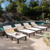 Christopher Knight Home 303816 Outdoor Chaise Lounge Set