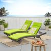 Christopher Knight Home Salem Chaise Lounge