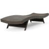 Christopher Knight Home Salem Chaise Lounge Set, Mixed Mocha Wicker