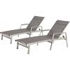 Christopher Knight Home Joy Outdoor Mesh and Aluminum Chaise Lounge (Set of 2), Gray