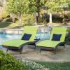 Christopher Knight Home Salem Chaise Lounge