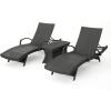 Christopher Knight Home Salem Chaise Lounge Set, 2-Pcs Set